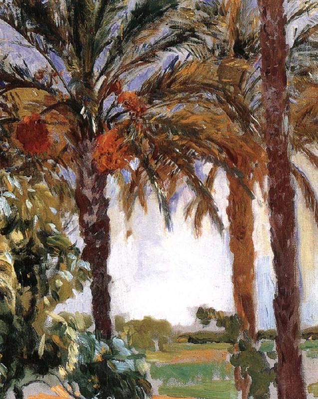 Joaquin Sorolla Palm oil painting image